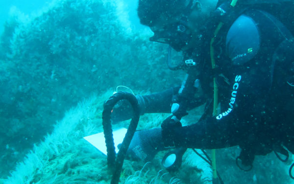 SCADEM - Expertise maritime